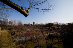 福岡、鶴賀城址公園　2