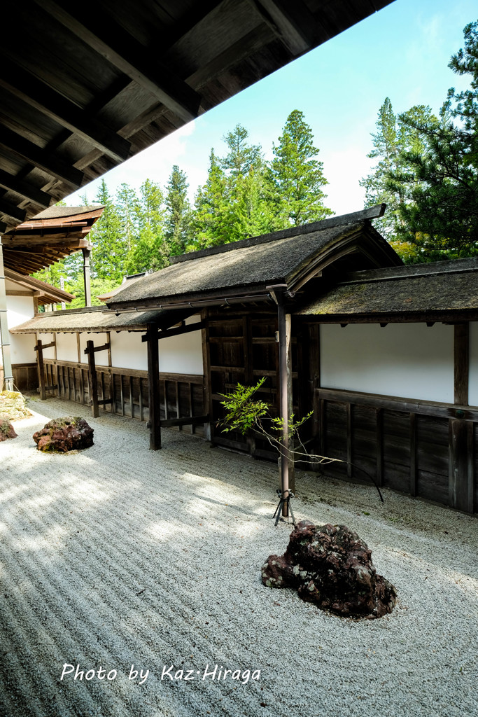 高野山、金剛峯寺のお庭