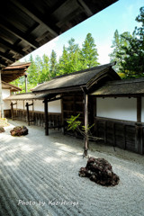 高野山、金剛峯寺のお庭