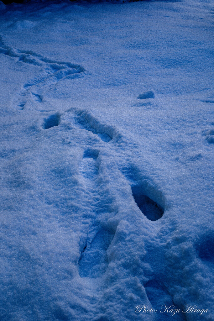 １２月だというのに堅雪　