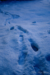 １２月だというのに堅雪　