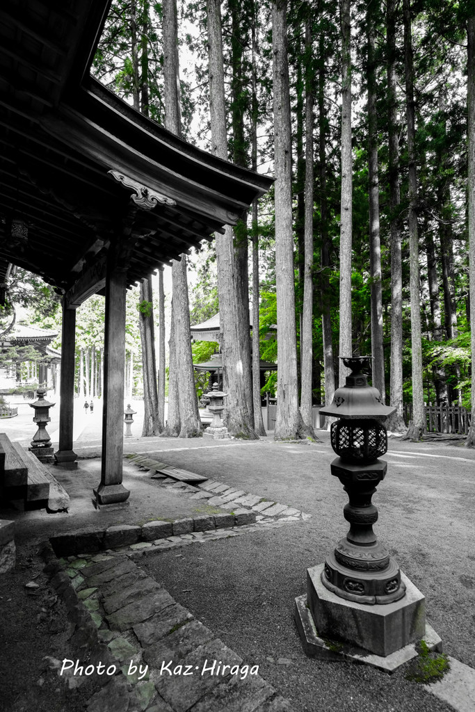 高野山、金剛峯寺の境内にて