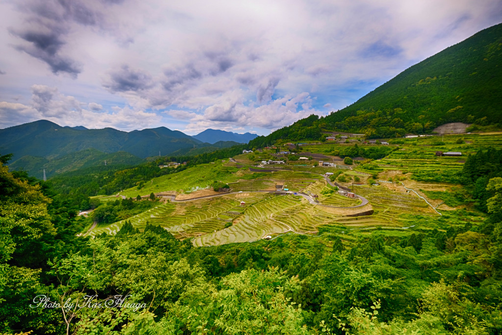 丸山千枚田遠景