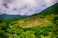 丸山千枚田遠景