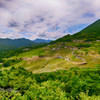 丸山千枚田遠景