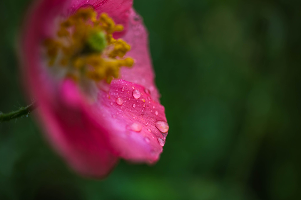雨滴-3