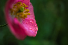 雨滴-3