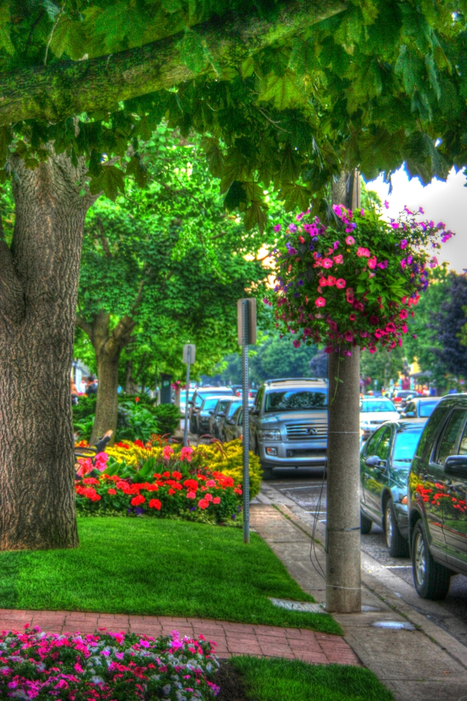 Niagara on the Lake 6