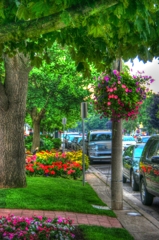 Niagara on the Lake 6