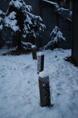 初雪の朝