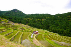 丸山千枚田