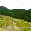 丸山千枚田