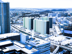 新札幌27階の風景