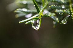 雨滴-1