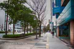 福岡ストリート