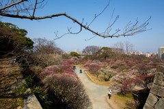 福岡、鶴賀城址公園　1