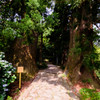 大門坂、夫婦杉