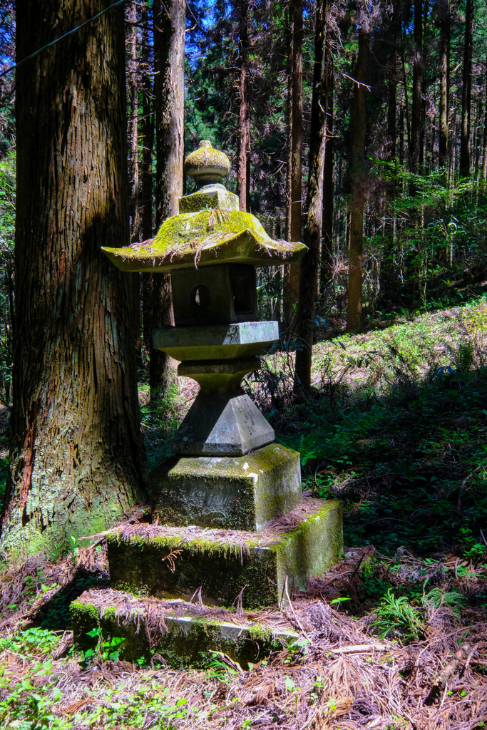 上色見熊野座神社　3