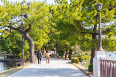 博多、大濠公園を歩く　2
