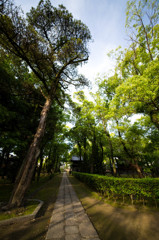 福岡朝散歩　14