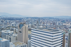タワーから福岡の街1