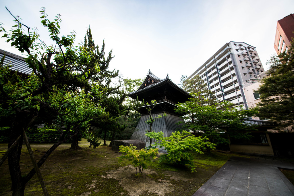 福岡朝散歩　6