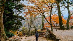 備中松山城の紅葉