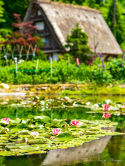 飛騨　白川郷