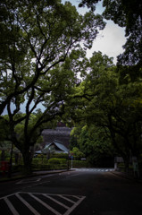 朝の散歩、熊本城　2