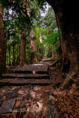大門坂石段