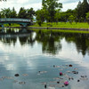午後の公園にて-4
