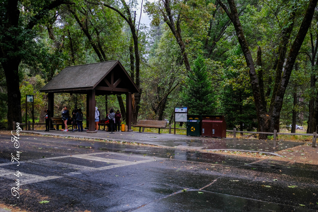 Wet day