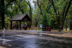 Wet day