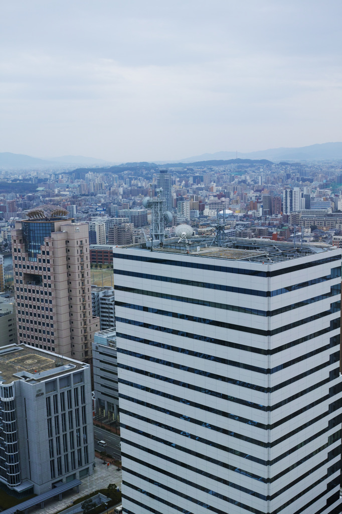 タワーから福岡の街　3