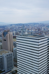 タワーから福岡の街　3