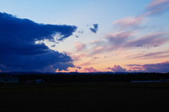 今日の夕景