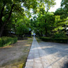 福岡朝散歩　9