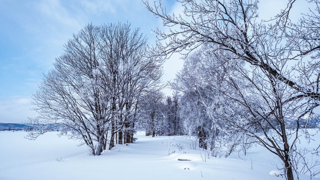 －１４．０℃