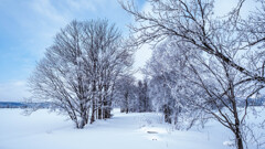 －１４．０℃