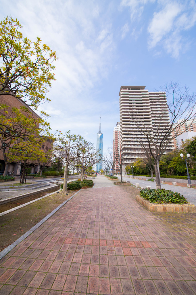 福岡タワーとその周辺　1