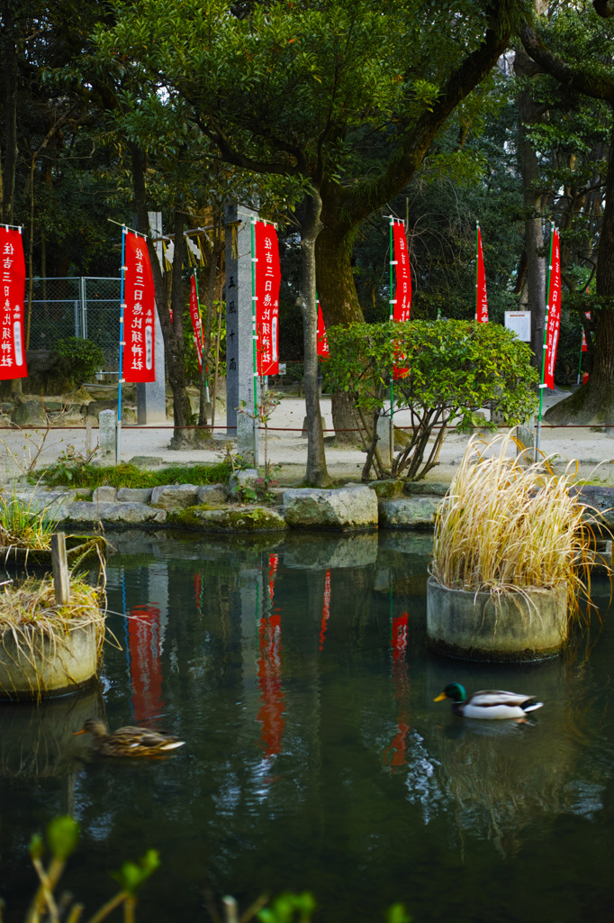 住吉三日恵比寿神社　1