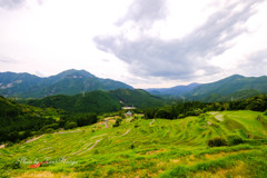 丸山千枚田