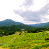 丸山千枚田
