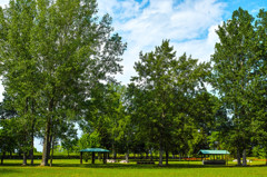 午後の公園にて-8
