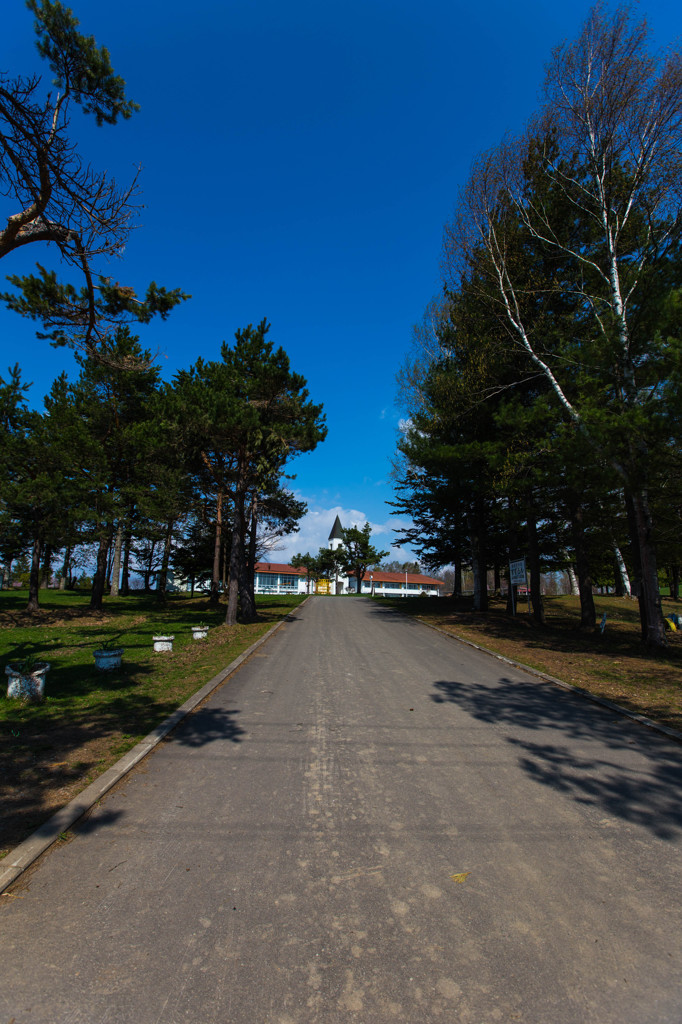 美瑛町美馬牛小学校