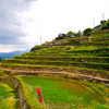 丸山千枚田