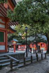 博多の朝に　3