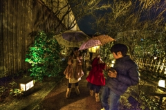 Tonemap　梅の花