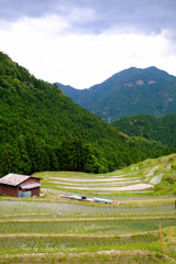 丸山千枚田