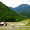 丸山千枚田